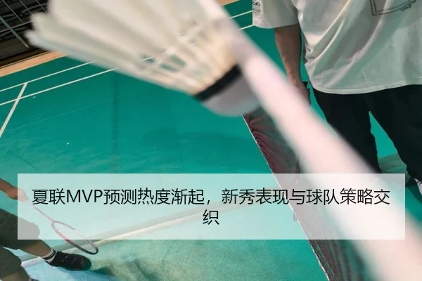 夏联MVP预测热度渐起，新秀表现与球队策略交织
